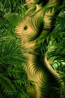 chameleon jungle nude art (Bodypainting, Palmen, Aktfoto)