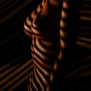 Streifen und Kurven (Aktfoto Frauenkörper imJalousie-Licht)