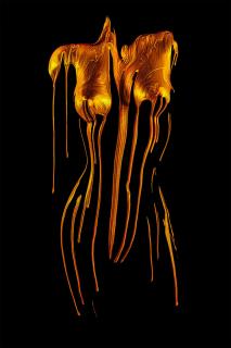 In gold gegossene Schönheit (Aktfotografie-Kunst-Körperkunst