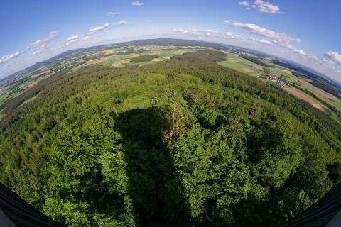 Oberpfälzer Wald