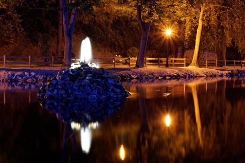 Stadtweiher bei Nacht