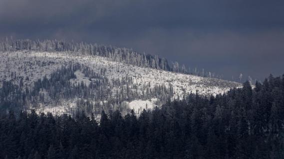 Berg im Bayerischen Wald