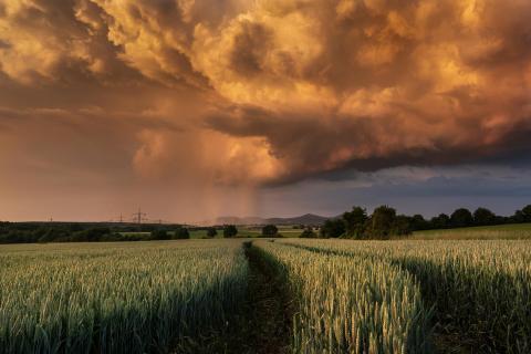 Porträt einer Gewitterwolke