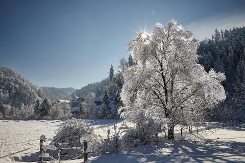 Winterzauber