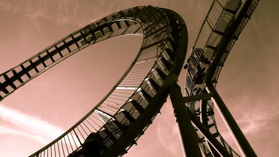 Tiger & Turtle