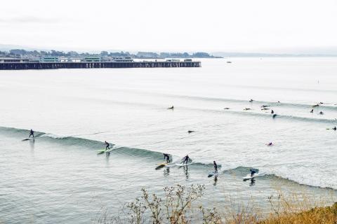 Surfing Santa Cruz