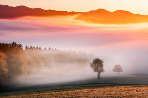 mystic morning