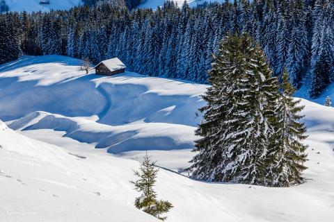 Winterlandschaft