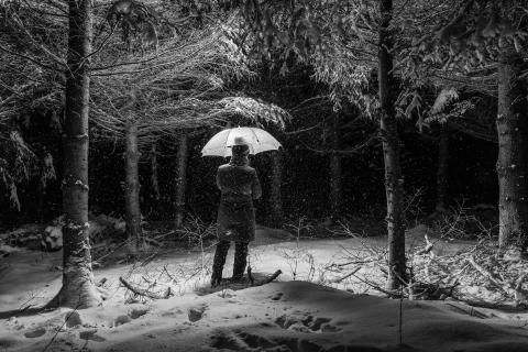 Bei Schneefall nachts im Wald