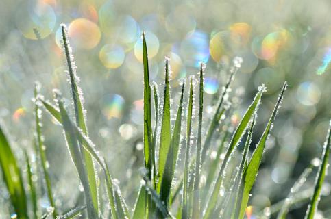 nach dem Regen