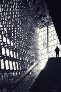 Harpa