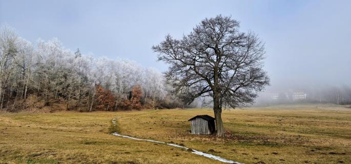 early Winter 