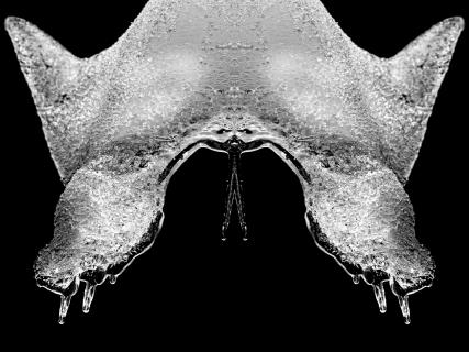 ice