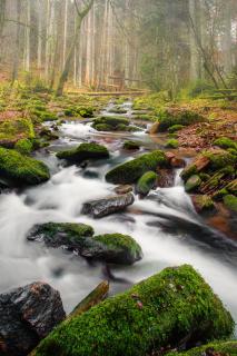 Nordschwarzwald