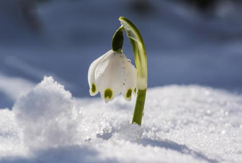 Frühling?Winter?Oder was?