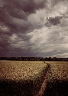 Dramatic fields