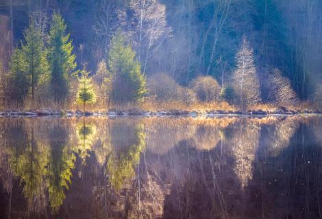 Deininger Weiher in der Morgensonne