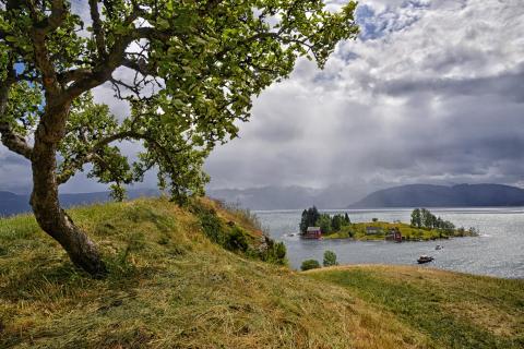 Insel im Fjord