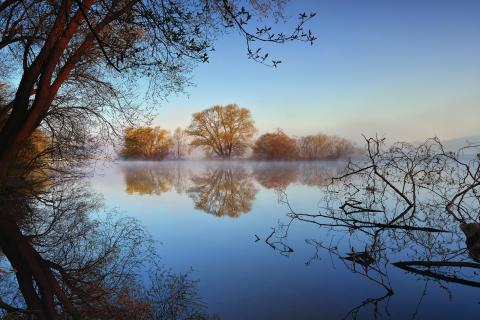  Morgennebel
