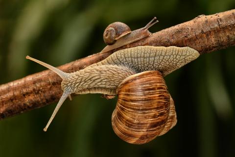 Ausweichmanöver 