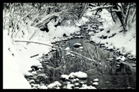 A winter creek