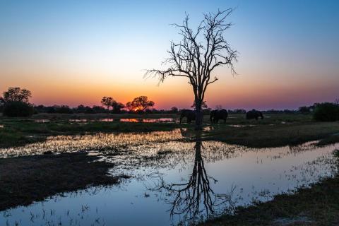 Abendstimmung in Botswana