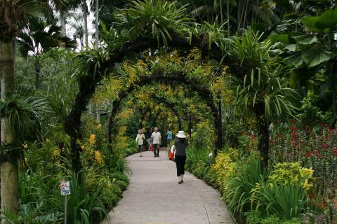 Im Orchideen Garten von Singapur 33