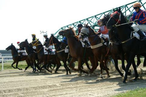 Start I. Galopp