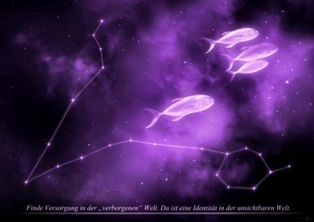 Sternkonstellation Fisch