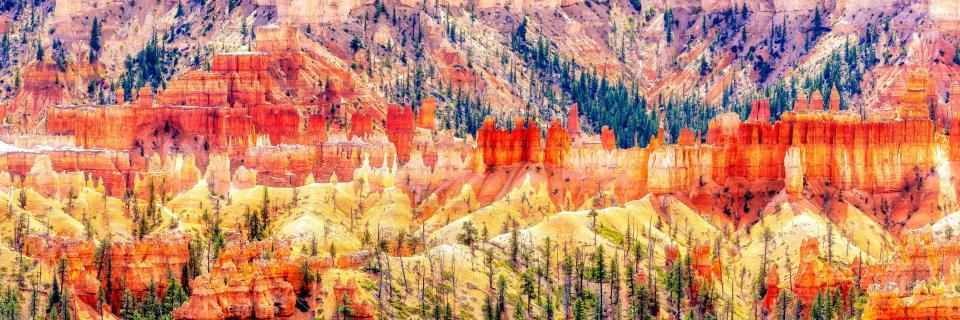 Bryce Canyon 1