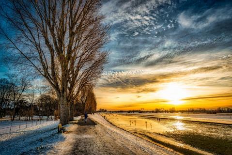 Winter an der Reihnaue