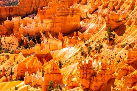 wunderschöner Bryce Canyon