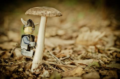Bergsteiger im Wald