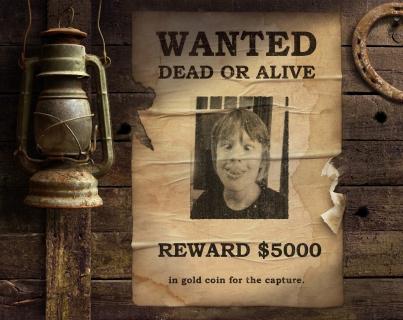 Wanted!