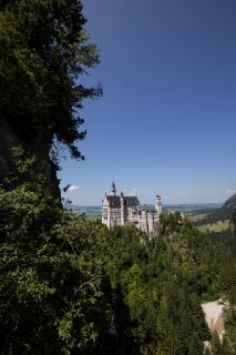 Neuschwanstein im Grünen