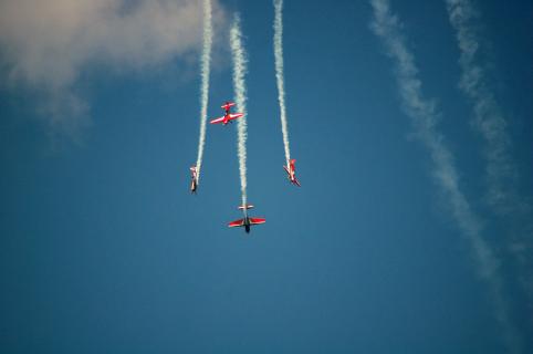Die Royal jordanien falcons