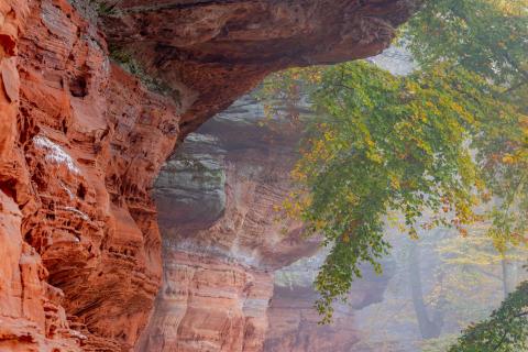  Nebel, Grün und Fels