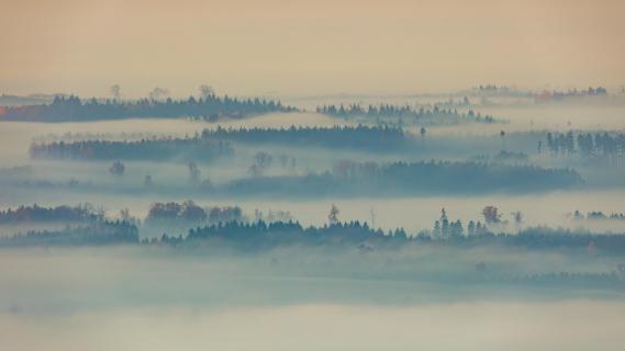 Zäher Nebel am Morgen