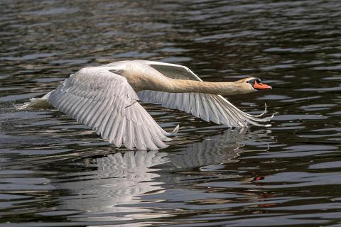 Take off