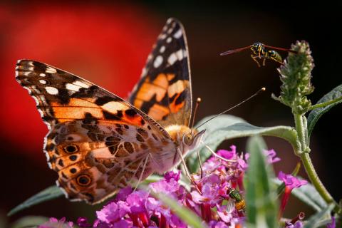 Flotter Dreier
