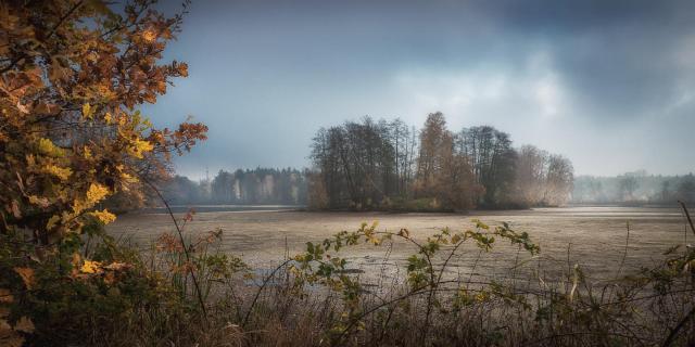 Insel im Trockenen