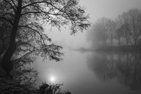 Baum, Sonne, Fluss