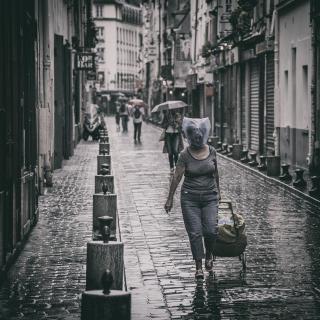 Rain in Paris