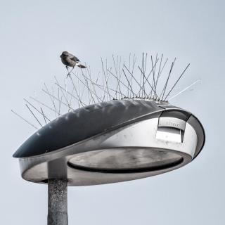 Landeplatz gesucht
