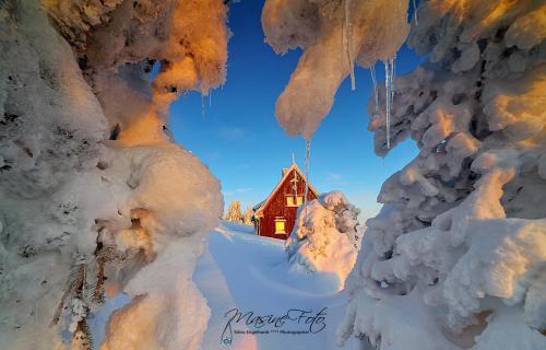 #52_winterfoto_silvio_engelhardt