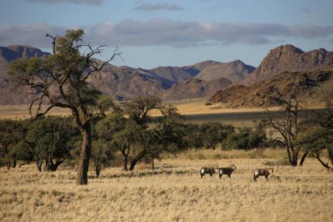 Namibia