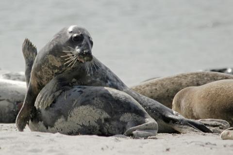 Bequem ist was Anderes