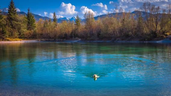 20170409 See_Hund _badet_Berge_Lenggries_SNY_ 06531 1054