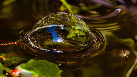 20170525 Wasserblasen_Mai_2017BBC_8490_034 1 1157-3