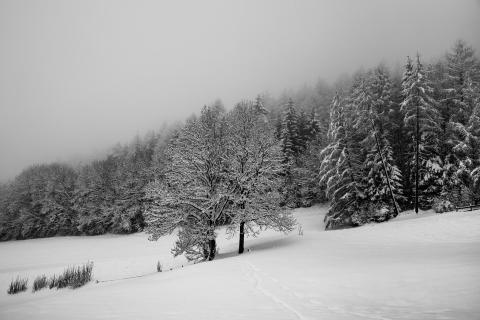 52_Fotografieren-Sie-Ein-Winterbild!_Tobias_Paul
